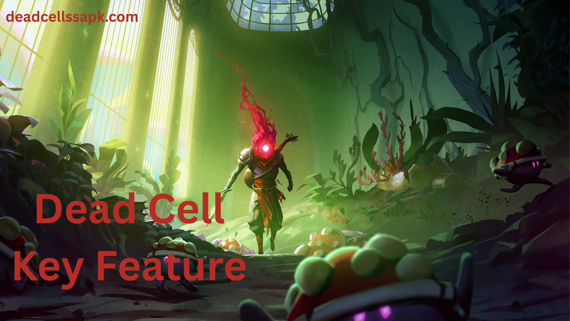 Dead cells key feature